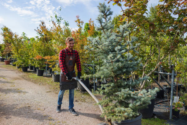 Fanwood, NJ Tree Removal and Landscaping Services Company